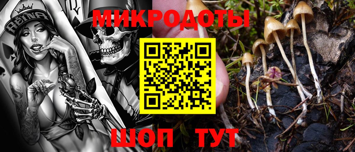 ГАШ  Апатиты  Меф   Кокаин  APVP СК   Героин  Гашиш  ЭКСТАЗИ  Конопля  Вход с VPN 