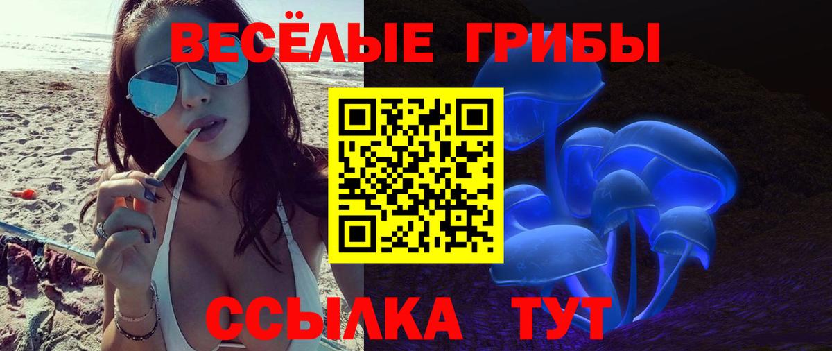 Галлюциногенные грибы Psilocybe  Вход с VPN  Апатиты 